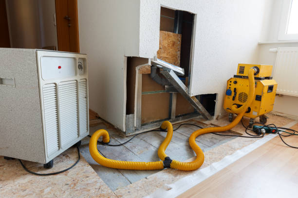 Best Dehumidification Services  in Zebulon, GA